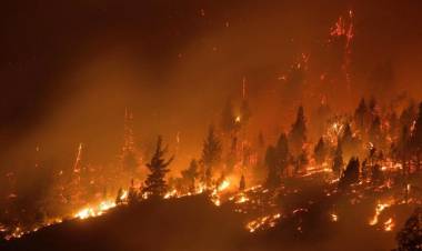Incendios en la Patagonia: "Vivimos una catástrofe porque el fuego alcanzó zonas muy pobladas"