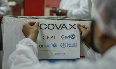 El director del fondo COVAX confirmó que el Gobierno le pidió que no enviara vacunas de Pfizer a la Argentina