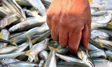 Detectan arsénico y mercurio en peces del embalse de Río Tercero