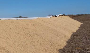 Laboulaye: rompen un silobolsa con más de 100 mil kilos de soja