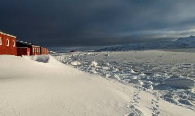 Se congeló la superficie del agua del mar frente a la Base Carlini en la Antártida