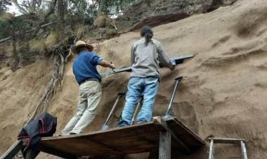 Encuentran restos fósiles de un gliptodonte en la localidad de Villa Ascasubi