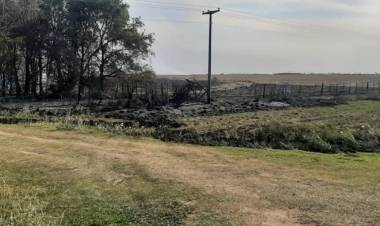 Un incendio atravesó al menos a seis campos en el sur de Córdoba