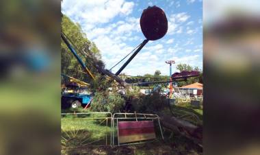 Parte de un eucalipto cayó sobre los juegos de un parque de diversiones en La Carlota