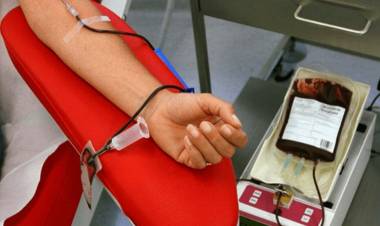 Cae más del 70% la donación de sangre y advierten que la situación es crítica
