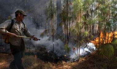 Disminuyen los focos de incendios en Corrientes
