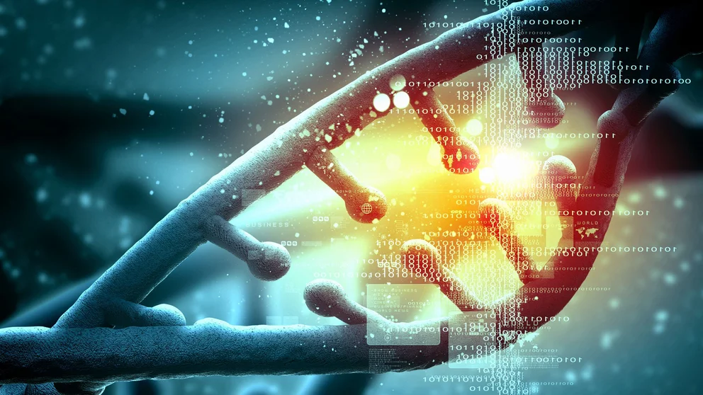 ¿Cómo se ve afectada nuestra genética a medida que envejecemos?