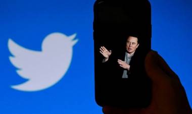 Elon Musk planea echar a la mitad de los empleados de Twitter