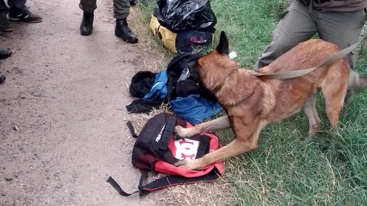 Las Higueras: un pasajero detenido con más de 5 kilos de cocaína en su mochila