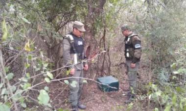 Chaco: hallaron 32 kilos más de cocaína a 60 metros de donde cayó la avioneta la semana pasada