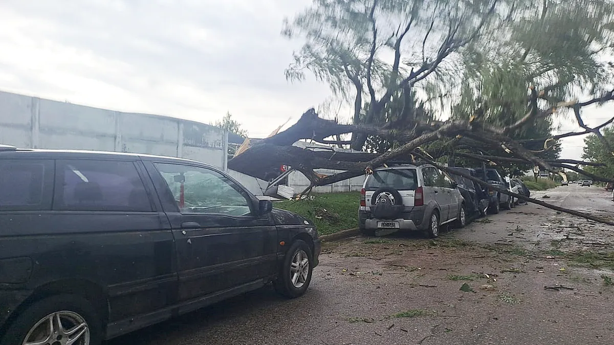 Una tormenta de viento y lluvia voló techos, derribó árboles y cortó cables en Río Cuarto y la zona