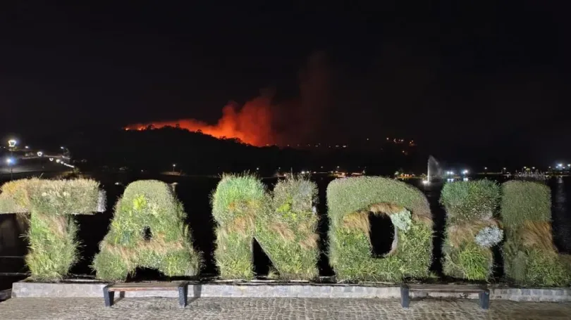 Tandil en alerta por un devastador incendio forestal en el Cerro de la Cruz