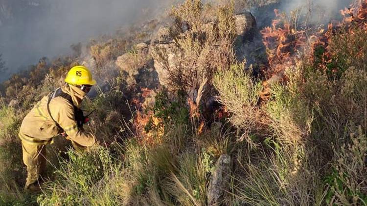 Incendio en Calamuchita: 60 bomberos combaten el frente de fuego en Lutti