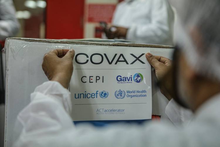 El director del fondo COVAX confirmó que el Gobierno le pidió que no enviara vacunas de Pfizer a la Argentina