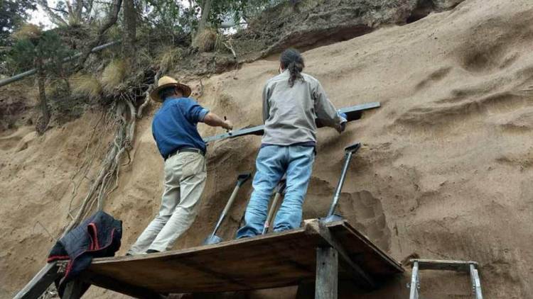 Encuentran restos fósiles de un gliptodonte en la localidad de Villa Ascasubi