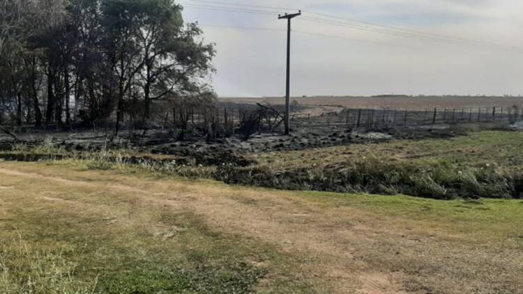 Un incendio atravesó al menos a seis campos en el sur de Córdoba