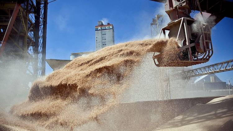 El complejo oleaginoso-cerealero ya representa el 48? las exportaciones argentinas