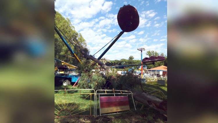 Parte de un eucalipto cayó sobre los juegos de un parque de diversiones en La Carlota