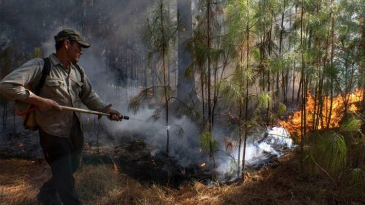 Disminuyen los focos de incendios en Corrientes