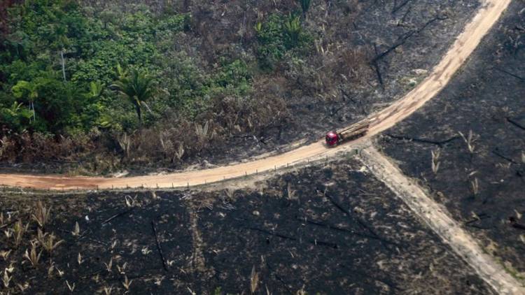 La deforestación de la Amazonia marcó un nuevo récord para abril