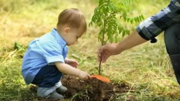 Por cada bebé que nazca en la capital del Chubut, su familia recibirá un árbol