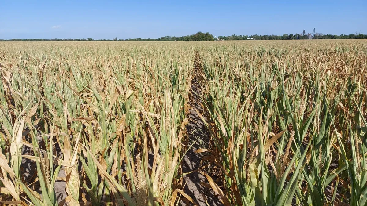 Córdoba perderá al menos cinco millones de toneladas de granos