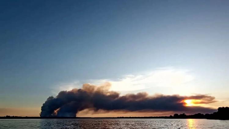 Incendios en Corrientes: hay más de 3.000 hectáreas afectadas y el fuego está "descontrolado"