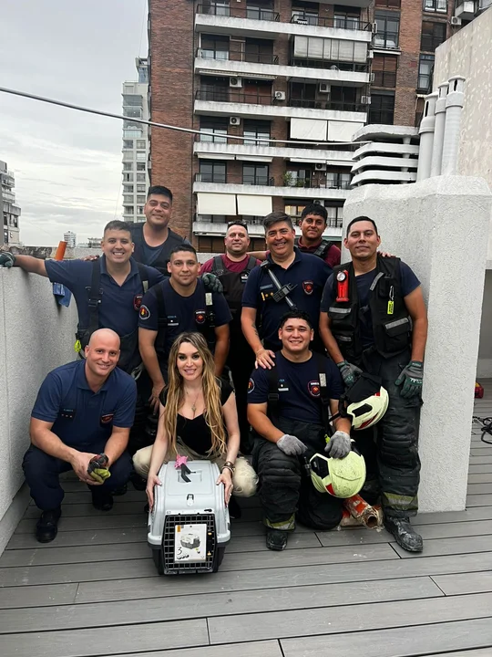 Final feliz: bomberos de la Ciudad rescataron al gato de Fátima Florez