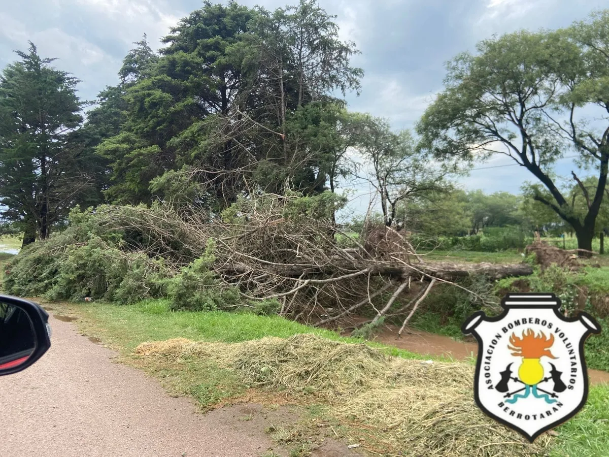 Una fuerte tormenta de lluvia y granizo golpeó a Berrotarán