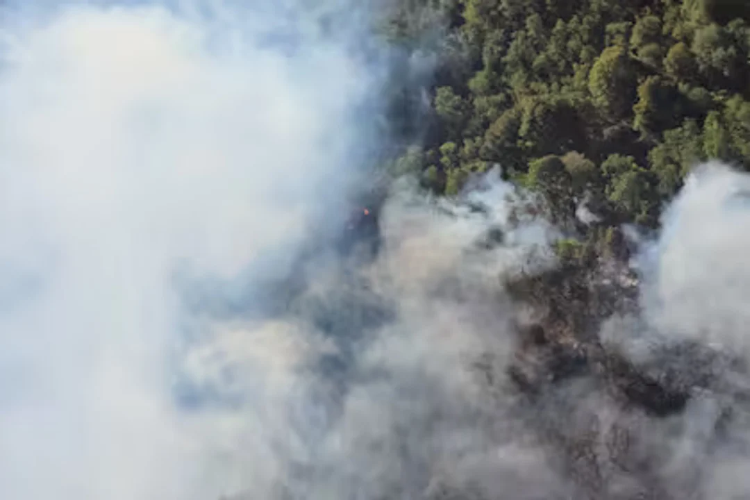 El incendio en el Parque Nacional Nahuel Huapi avanza y ya son más de 2000 las hectáreas afectadas