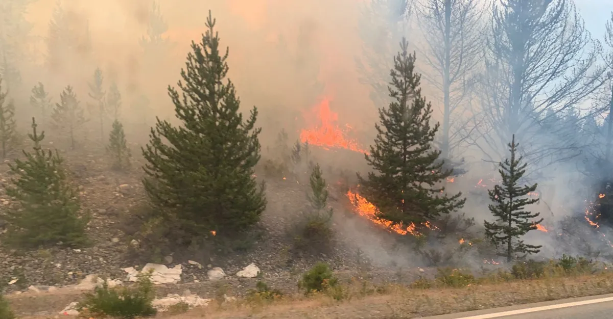 Epuyén: ya se consumieron más de 2 mil hectáreas y debieron evacuar 200 viviendas