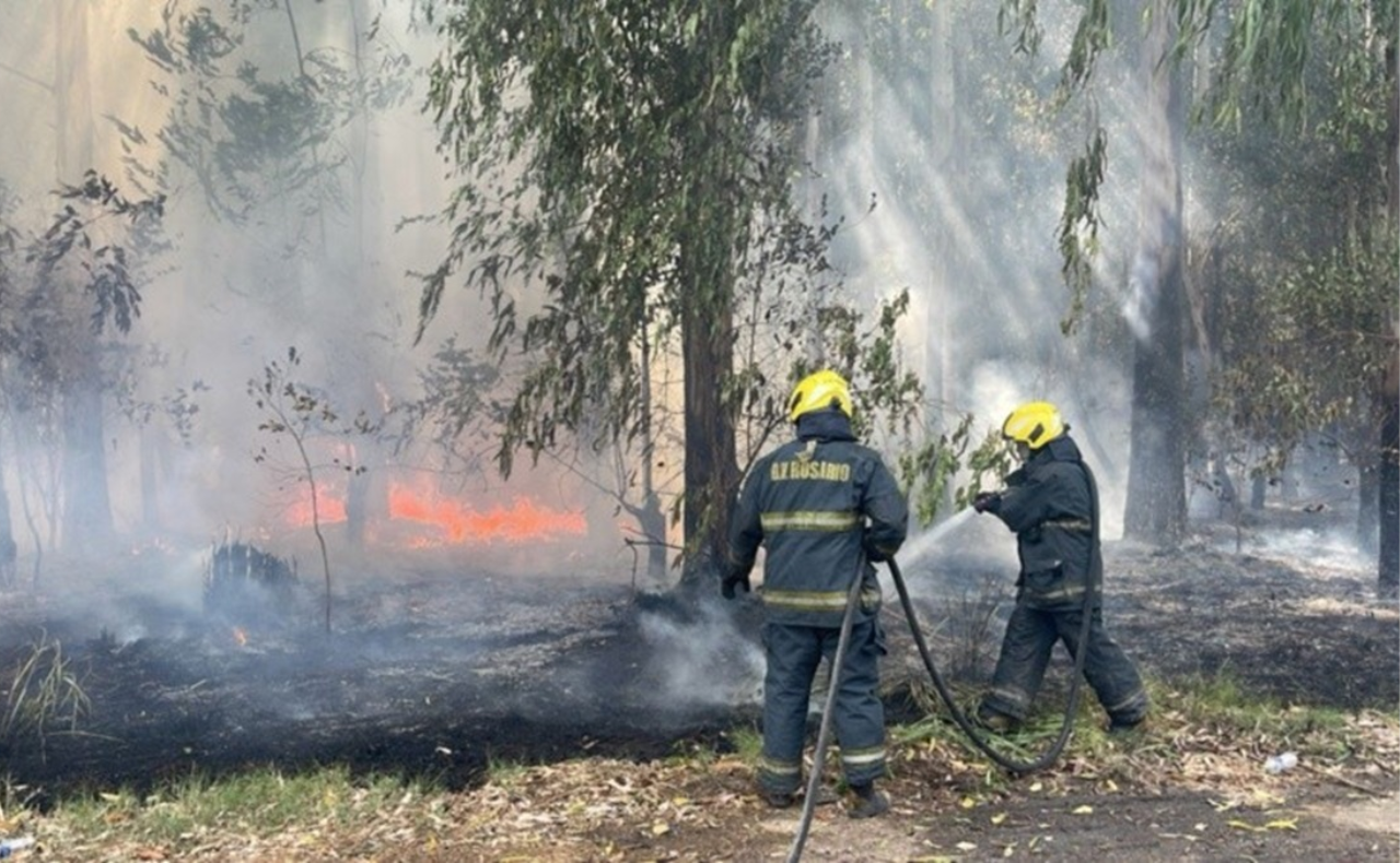 Aumento de incendios: causas y recomendaciones de los bomberos