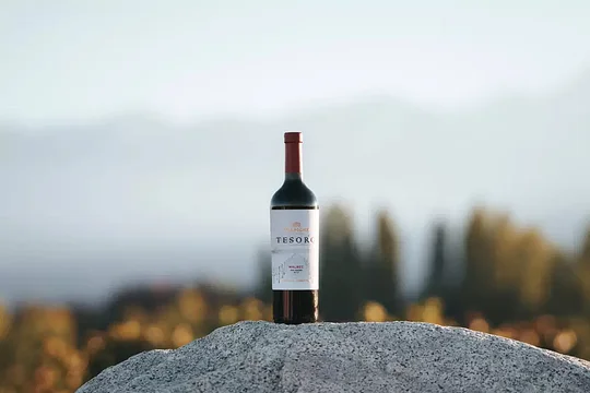 Un vino argentino que cuesta menos de 7 mil pesos fue elegido como el mejor Malbec del mundo