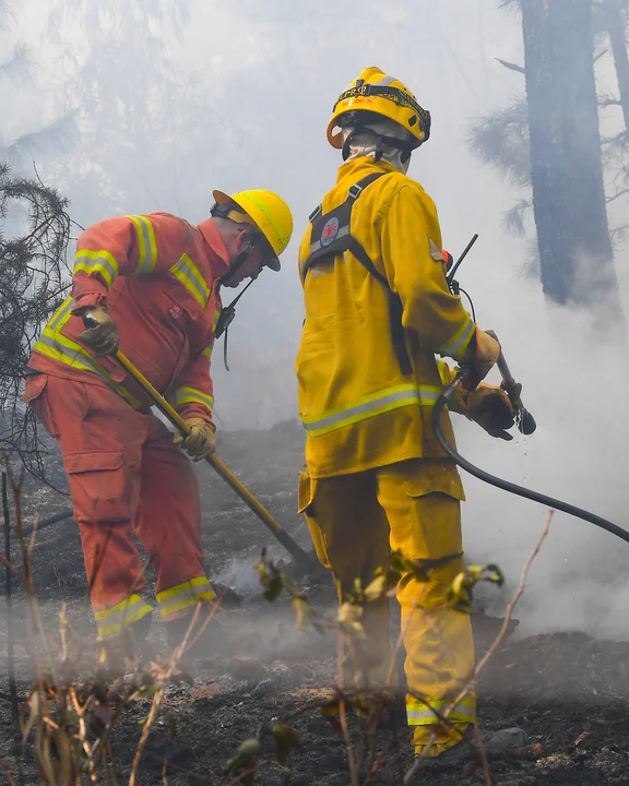 Incendios forestales en Calamuchita: el Gobierno de Córdoba declaró el estado de desastre