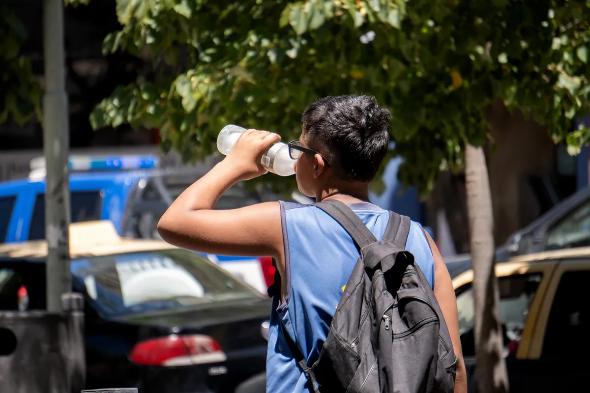 Combo de calor y humedad: la máxima fue de 36°; el campo espera la lluvia