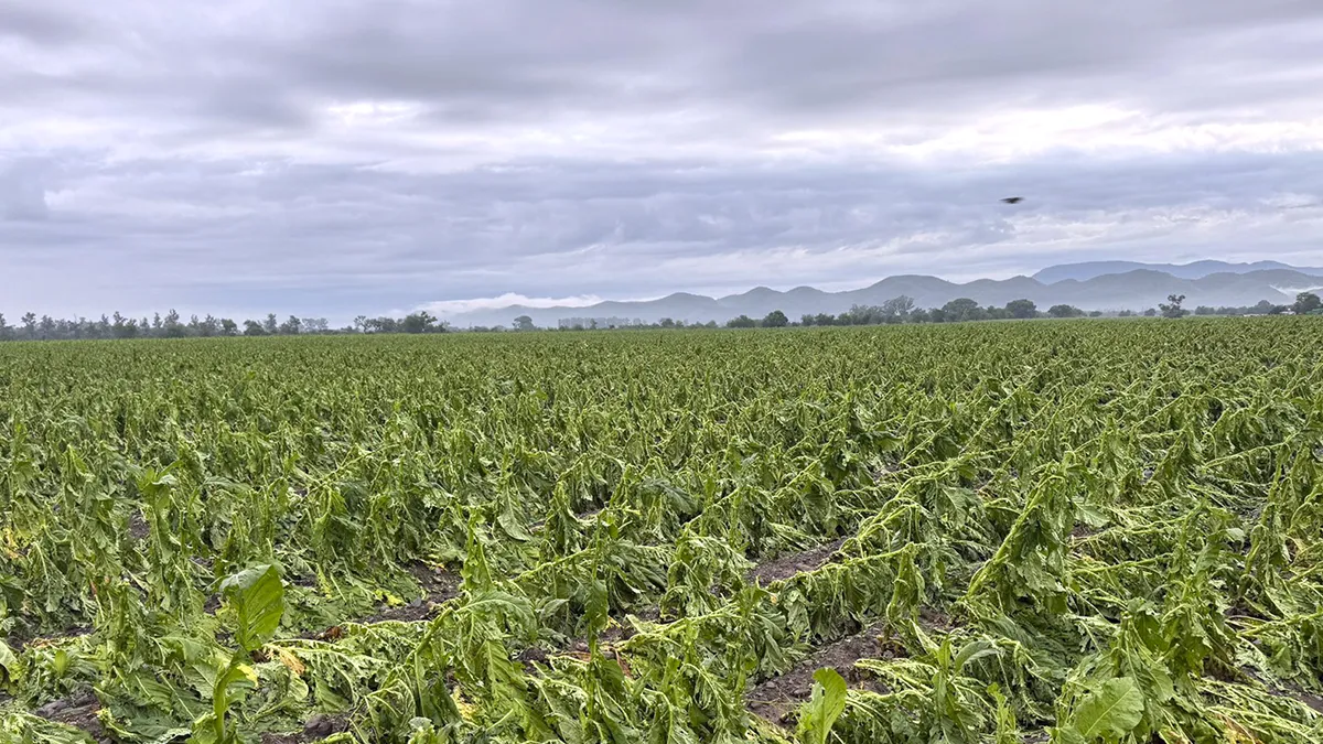 Para los pequeños productores, la baja de retenciones no alcanza