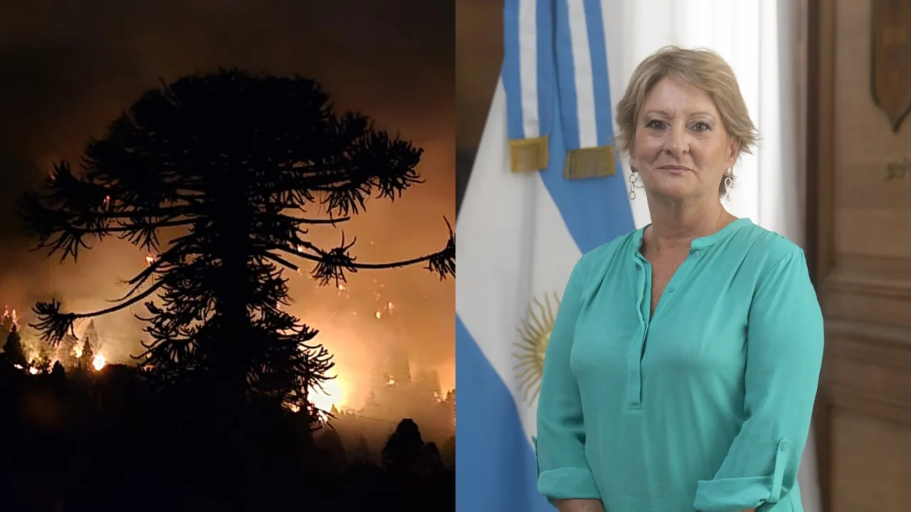 Mientras la Patagonia arde, la Subsecretaría de Ambiente gasta en aires acondicionados y desratización