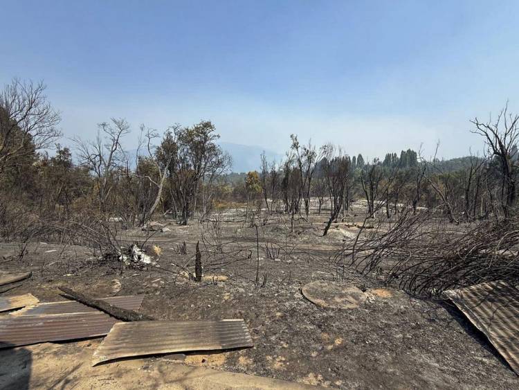 Siguen activos los incendios en Río Negro: más de 11.000 hectáreas arrasadas